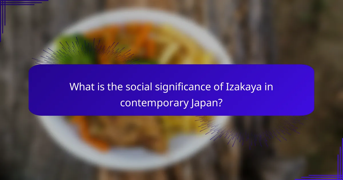 What is the social significance of Izakaya in contemporary Japan?
